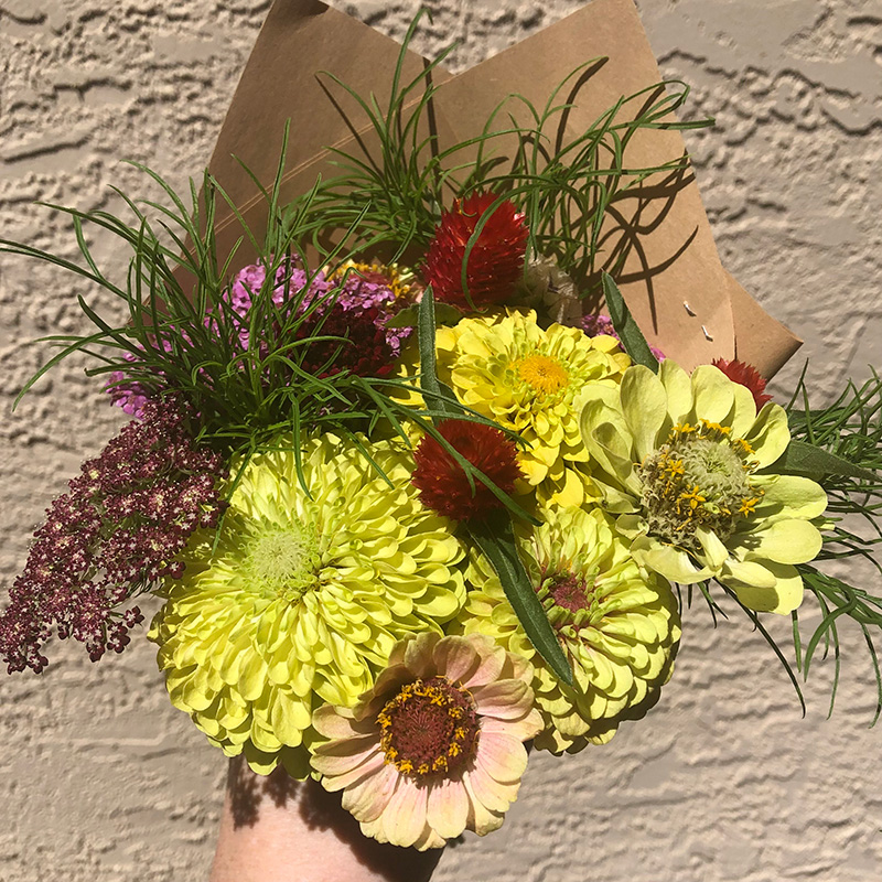 Yellow flowers