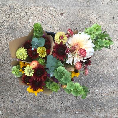 Arrange500