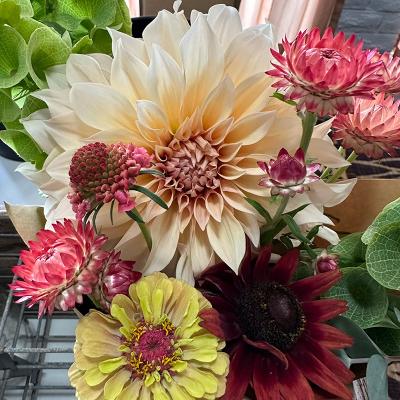 Bouquet58241