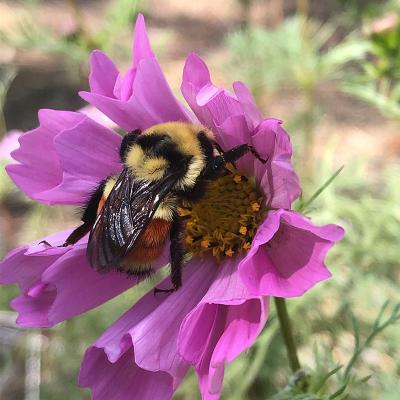 Image 672360972